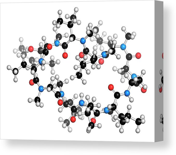 <span class="entry-title-primary">Global Cyclosporine  Market – Global Outlook And Forecasts Report 2019-2026</span> <span class="entry-subtitle">Global Cyclosporine Market Overview:</span><span class="rating-result after_title mr-filter rating-result-26043">	<span class="mr-star-rating">			    <i class="fa fa-star mr-star-full"></i>	    	    <i class="fa fa-star mr-star-full"></i>	    	    <i class="fa fa-star mr-star-full"></i>	    	    <i class="fa fa-star mr-star-full"></i>	    	    <i class="fa fa-star mr-star-full"></i>	    </span><span class="star-result">	5/5</span>			<span class="count">				(1)			</span>			</span>