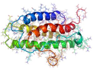 <span class="entry-title-primary">Global Erythropoietin Market Global Analysis and Industry Forecast – 2025by Planet Market Reports</span> <span class="entry-subtitle">Erythropoietin Market Research:</span>