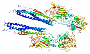 <span class="entry-title-primary">Fibrinogen Market 2019 Global Share, Trend And Opportunities Forecast To 2025</span> <span class="entry-subtitle">Global Fibrinogen Market Research:</span>