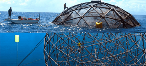 <span class="entry-title-primary">Fishing Nets and Aquaculture Cages Market Size, Analysis, Benefits, Demands and Forecast Report by 2025</span> <span class="entry-subtitle">Fishing Nets and Aquaculture Cages Market Research analysis.</span>