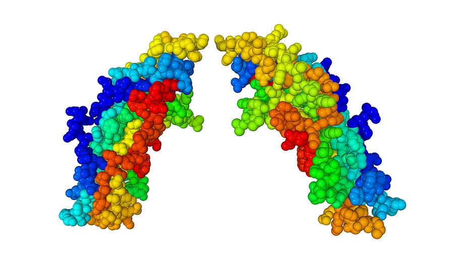 <span class="entry-title-primary">Follicle Stimulating Hormone Market Report, Industry Size, Share, Trends, Growth And Forecast Till 2025</span> <span class="entry-subtitle">Global Follicle Stimulating Hormone Market Research:</span><span class="rating-result after_title mr-filter rating-result-25004">	<span class="mr-star-rating">			    <i class="fa fa-star mr-star-full"></i>	    	    <i class="fa fa-star mr-star-full"></i>	    	    <i class="fa fa-star mr-star-full"></i>	    	    <i class="fa fa-star mr-star-full"></i>	    	    <i class="fa fa-star mr-star-full"></i>	    </span><span class="star-result">	5/5</span>			<span class="count">				(2)			</span>			</span>