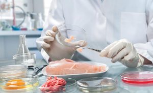 Global Food Pathogen Testing Market Statistics 2019 Potential CAGR Growth Expected By 2025