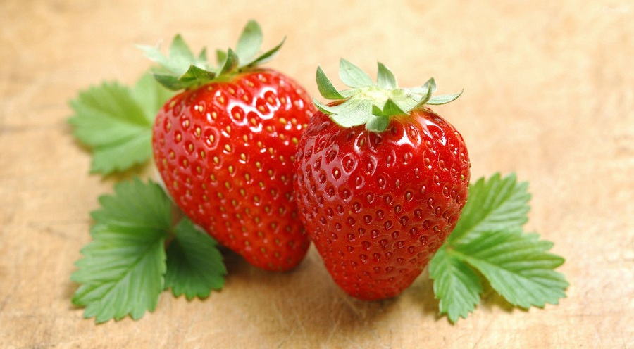 <span class="entry-title-primary">Fresh Strawberry Market Size, Share, Price, Trend, and Forecast by 2024</span> <span class="entry-subtitle">Global Fresh Strawberry Market Report, 2019-2024</span><span class="rating-result after_title mr-filter rating-result-21810">			<span class="no-rating-results-text">No ratings yet.</span>		</span>