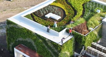 Green-Roof Market Insights Shared In Detailed Report
