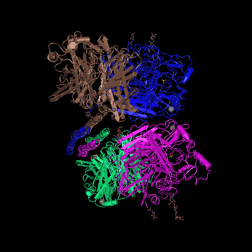 <span class="entry-title-primary">Hemagglutinin 5 Market Size and Share 2025 Sales, Production, Consumption and Segmentation</span> <span class="entry-subtitle">Global Hemagglutinin 5 Market Research:</span><span class="rating-result after_title mr-filter rating-result-24295">	<span class="mr-star-rating">			    <i class="fa fa-star mr-star-full"></i>	    	    <i class="fa fa-star mr-star-full"></i>	    	    <i class="fa fa-star mr-star-full"></i>	    	    <i class="fa fa-star mr-star-full"></i>	    	    <i class="fa fa-star mr-star-full"></i>	    </span><span class="star-result">	5/5</span>			<span class="count">				(1)			</span>			</span>