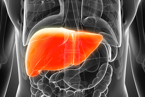 Learn details of the Liver Disease Drug market size, status and forecast 2024<span class="rating-result after_title mr-filter rating-result-21337">			<span class="no-rating-results-text">No ratings yet.</span>		</span>