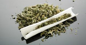 Marijuana Cigarette market trends to 2024 insights shared in detailed report