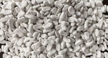 Master Batch Market Explored in Latest Research