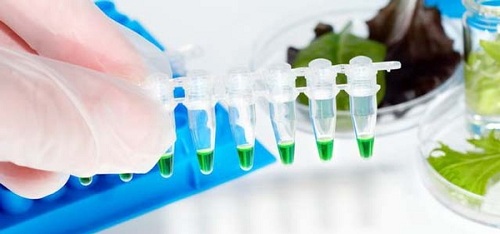 <span class="entry-title-primary">The Global Molecular Microbiology Market report statistical studies provides market facts</span> <span class="entry-subtitle">Molecular Microbiology Market Research: Analysis</span><span class="rating-result after_title mr-filter rating-result-26418">			<span class="no-rating-results-text">No ratings yet.</span>		</span>