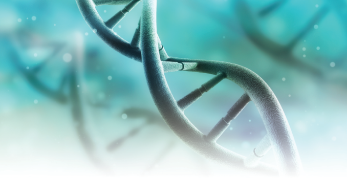 Nucleic Acid Isolation and Purification Market Size, Growth, Trends Forecast 2019-2025<span class="rating-result after_title mr-filter rating-result-26470">			<span class="no-rating-results-text">No ratings yet.</span>		</span>