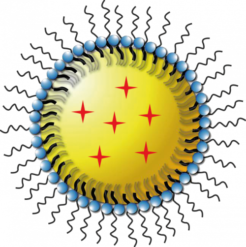 <span class="entry-title-primary">Paclitaxel Market 2019 Global Key Vendors Analysis, Revenue, Trends And Forecast to 2025</span> <span class="entry-subtitle">Global Paclitaxel Market Research:</span><span class="rating-result after_title mr-filter rating-result-23931">	<span class="mr-star-rating">			    <i class="fa fa-star mr-star-full"></i>	    	    <i class="fa fa-star mr-star-full"></i>	    	    <i class="fa fa-star mr-star-full"></i>	    	    <i class="fa fa-star mr-star-full"></i>	    	    <i class="fa fa-star mr-star-full"></i>	    </span><span class="star-result">	5/5</span>			<span class="count">				(1)			</span>			</span>