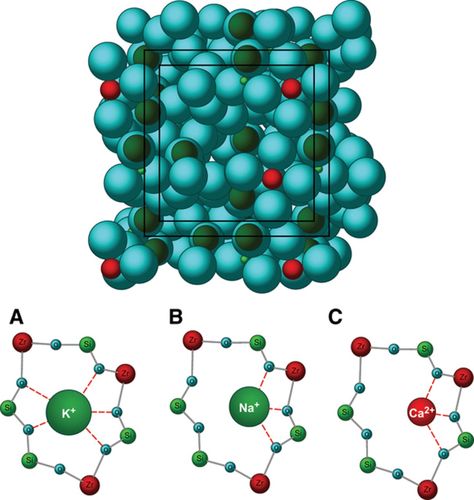 <span class="entry-title-primary">Research Details Developments in the Patiromer Calcium Market</span> <span class="entry-subtitle">The report provides a basic overview of the industry including its definition, applications and manufacturing technology. </span><span class="rating-result after_title mr-filter rating-result-21430">			<span class="no-rating-results-text">No ratings yet.</span>		</span>