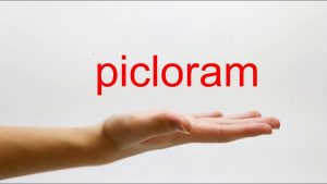 <span class="entry-title-primary">Picloram Market Size, Analysis, Benefits, Demands and Forecast Report by 2024</span> <span class="entry-subtitle">Picloram Market Size, Analytical Overview, Growth Factors, Demand, Trends and Forecast to 2024</span>