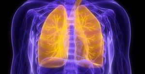 <span class="entry-title-primary">Pulmonary Drugs Market 2019 Global Industry – Key Players And Size</span> <span class="entry-subtitle">Global Pulmonary Drugs Market Research</span>