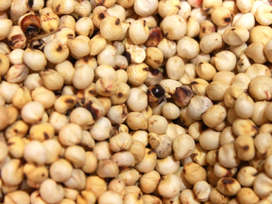 <span class="entry-title-primary">Sorghum and Sorghum Seeds Market Size, Analysis, Benefits, Demands and Forecast Report by 2025</span> <span class="entry-subtitle">Sorghum and Sorghum Seeds market including production, consumption, status & forecast and market growth.</span><span class="rating-result after_title mr-filter rating-result-21909">			<span class="no-rating-results-text">No ratings yet.</span>		</span>