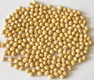 <span class="entry-title-primary">New Report Shares Details About the Soy Isoflavones Market Forecast to 2014-2024</span> <span class="entry-subtitle">The report provides a basic overview of the industry including its definition, applications and manufacturing technology. </span>