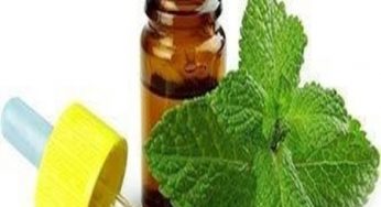 Research Details Developments in the Ristocetin A Market Forecast to 2013-2023