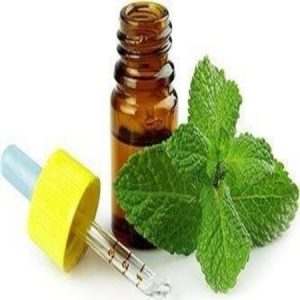 <span class="entry-title-primary">Spearmint oil Market Size ,Growth And Forecast to 2013-2023</span> <span class="entry-subtitle">The report provides a basic overview of the industry including its definition, applications and manufacturing technology.</span>