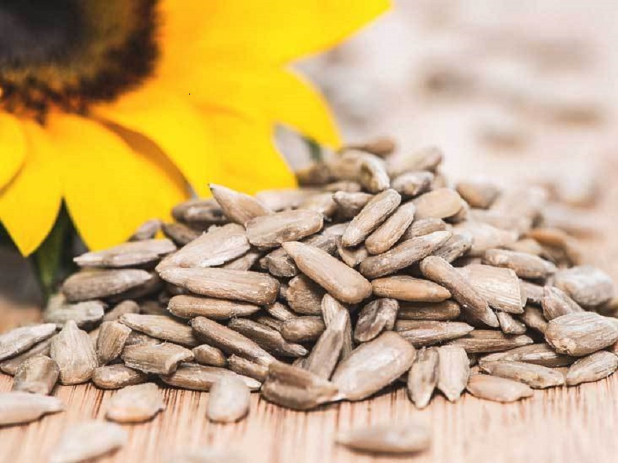 <span class="entry-title-primary">Sunflower Seeds Market Size, Analysis, Benefits, Demands and Forecast Report by 2025</span> <span class="entry-subtitle">Sunflower Seeds Market Production, Consumption, Status & Forecast And Market Growth.</span><span class="rating-result after_title mr-filter rating-result-22035">			<span class="no-rating-results-text">No ratings yet.</span>		</span>