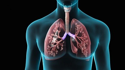 Acute Lung injury market Size, Share and Analysis<span class="rating-result after_title mr-filter rating-result-28230">			<span class="no-rating-results-text">No ratings yet.</span>		</span>