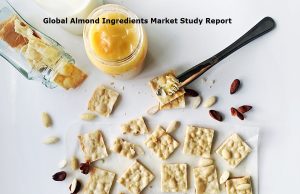 <span class="entry-title-primary">Almond Ingredients Market CAGR to Reach 10.6% by 2026</span> <span class="entry-subtitle">Global Almond Ingredients Market</span>