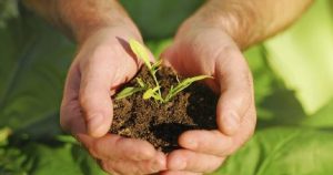 Anionic Agricultural Surfactants Market Size, Analysis,Demands and Forecast-2024