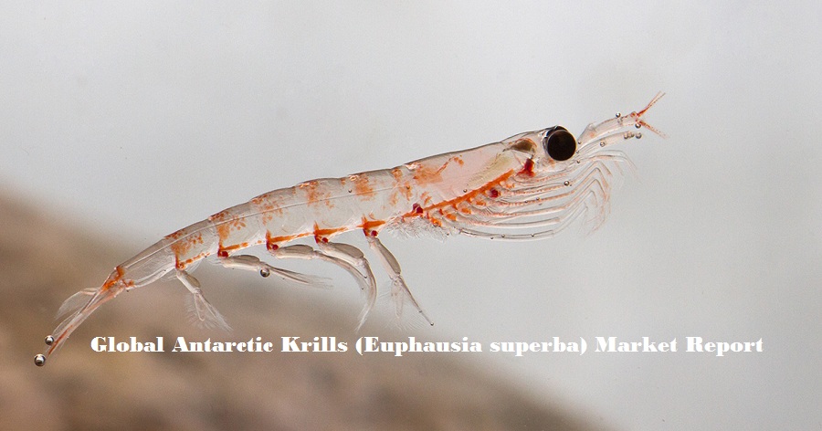 <span class="entry-title-primary">Antarctic Krill Market | Euphausia superba Market | Analysis Report by 2024</span> <span class="entry-subtitle">Global Antarctic Krill (Euphausia superba) Market</span><span class="rating-result after_title mr-filter rating-result-27390">			<span class="no-rating-results-text">No ratings yet.</span>		</span>