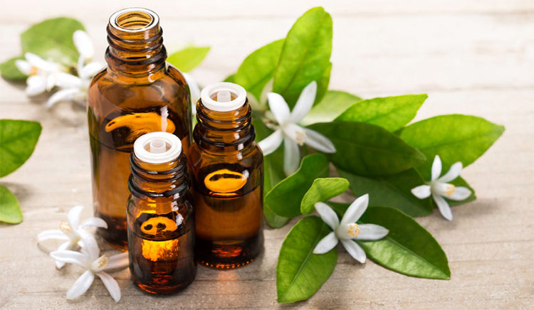 <span class="entry-title-primary">Aromatherapy Market Report Segmented by Application, Region and Porters Five Forces Analysis</span> <span class="entry-subtitle">Global Aromatherapy Market Growth:</span><span class="rating-result after_title mr-filter rating-result-28018">			<span class="no-rating-results-text">No ratings yet.</span>		</span>