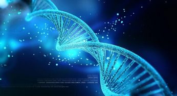 Global Bioinformatics Market Expected CAGR 20.75% By 2023