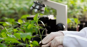Bioremediation Technology Market Size, Share, Forecast, Analysis & Growth