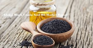 <span class="entry-title-primary">Black Cumin Seed Oil Market Analysis Report by 2025</span> <span class="entry-subtitle">Global Black Cumin Seed Oil Market</span>