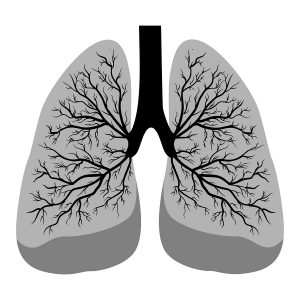 <span class="entry-title-primary">Black Lung Market Report Segmented by Application, Region, Key Players and Analysis</span> <span class="entry-subtitle">Global Black Lung Market Report</span>