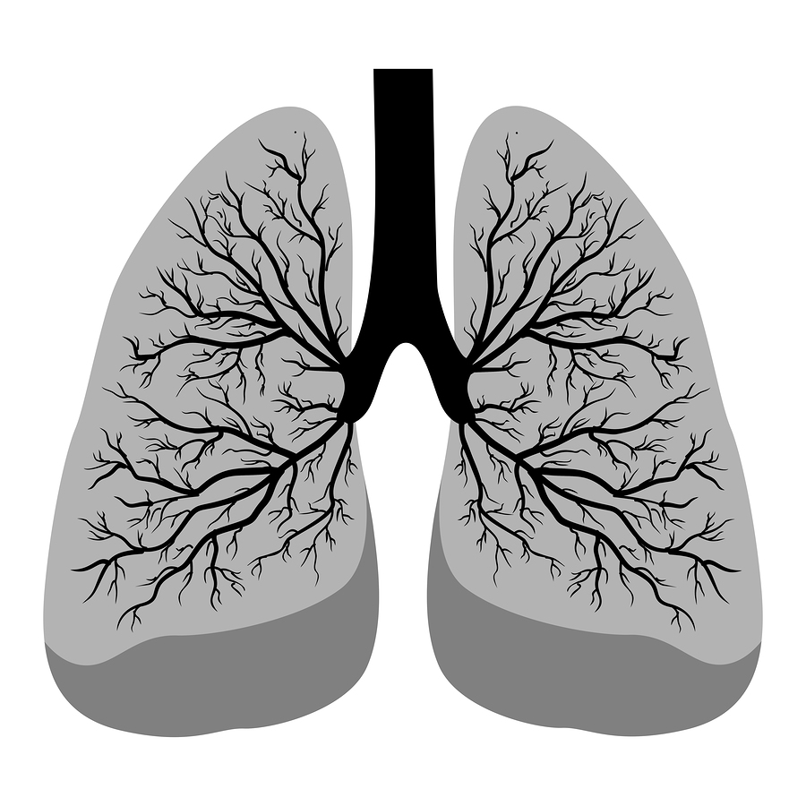 <span class="entry-title-primary">Black Lung Market Report Segmented by Application, Region, Key Players and Analysis</span> <span class="entry-subtitle">Global Black Lung Market Report</span><span class="rating-result after_title mr-filter rating-result-27029">	<span class="mr-star-rating">			    <i class="fa fa-star mr-star-full"></i>	    	    <i class="fa fa-star mr-star-full"></i>	    	    <i class="fa fa-star mr-star-full"></i>	    	    <i class="fa fa-star mr-star-full"></i>	    	    <i class="fa fa-star mr-star-full"></i>	    </span><span class="star-result">	5/5</span>			<span class="count">				(1)			</span>			</span>