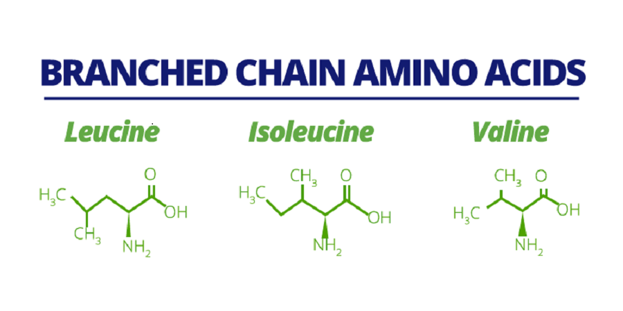 Branched Chain Amino Acid Market Size, Share, Growth, Trend ,and Forecast – 2024<span class="rating-result after_title mr-filter rating-result-29783">			<span class="no-rating-results-text">No ratings yet.</span>		</span>