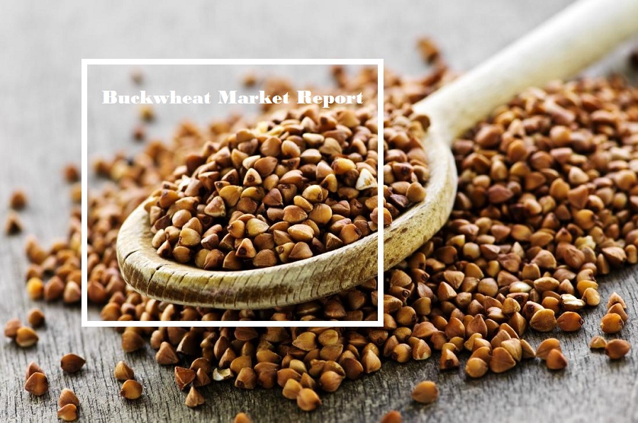 <span class="entry-title-primary">Buckwheat Market | Types, Benefits, Demand, Uses, Consumption and Forecast till 2025</span> <span class="entry-subtitle">Global Buckwheat Market Report</span><span class="rating-result after_title mr-filter rating-result-30566">			<span class="no-rating-results-text">No ratings yet.</span>		</span>