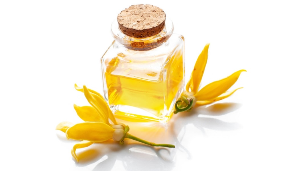 Cananga Essential Oil Market 2019 | Worldwide Industry Share, Size 2025<span class="rating-result after_title mr-filter rating-result-28159">			<span class="no-rating-results-text">No ratings yet.</span>		</span>