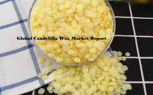 <span class="entry-title-primary">Candelilla Wax Market Size, Share, Outlook, and Opportunity Analysis, 2019-2026</span> <span class="entry-subtitle">Global Candelilla Wax Market</span>