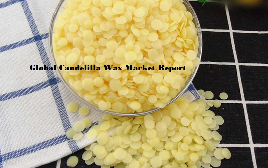 <span class="entry-title-primary">Candelilla Wax Market Size, Share, Outlook, and Opportunity Analysis, 2019-2026</span> <span class="entry-subtitle">Global Candelilla Wax Market</span><span class="rating-result after_title mr-filter rating-result-28252">			<span class="no-rating-results-text">No ratings yet.</span>		</span>