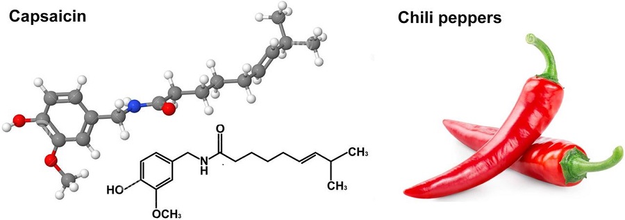 <span class="entry-title-primary">Capsaicinoids Market Size, Analysis, Benefits, Demands and Forecast Report by 2024</span> <span class="entry-subtitle">Capsaicinoids Market Size, Analytical Overview, Growth Factors, Demand, Trends.</span><span class="rating-result after_title mr-filter rating-result-27867">			<span class="no-rating-results-text">No ratings yet.</span>		</span>