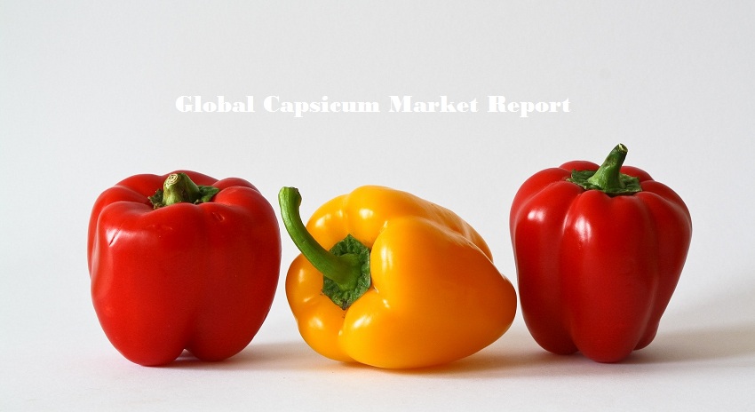 <span class="entry-title-primary">Capsicum Market Worth 10950 Million USD by 2024</span> <span class="entry-subtitle">Global Capsicum Market</span><span class="rating-result after_title mr-filter rating-result-27401">			<span class="no-rating-results-text">No ratings yet.</span>		</span>