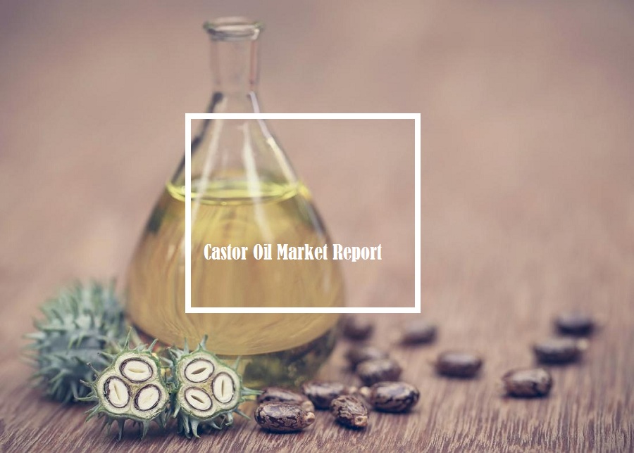 <span class="entry-title-primary">Castor Oil Market By Types, Benefits, Demand, Uses, Consumption and Forecast till 2025</span> <span class="entry-subtitle">Global Castor Oil Market Report</span><span class="rating-result after_title mr-filter rating-result-31134">			<span class="no-rating-results-text">No ratings yet.</span>		</span>