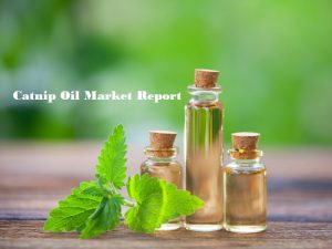 <span class="entry-title-primary">Catnip Oil Market | Market Insights | Forecast by 2025</span> <span class="entry-subtitle">Global Catnip Oil Market Report</span>