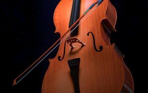 Cello Bows Market Size, Share -Global Industry Trends, Growth 2025