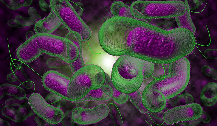 Cholera market Size, Share, Trends and Forecast<span class="rating-result after_title mr-filter rating-result-28206">			<span class="no-rating-results-text">No ratings yet.</span>		</span>