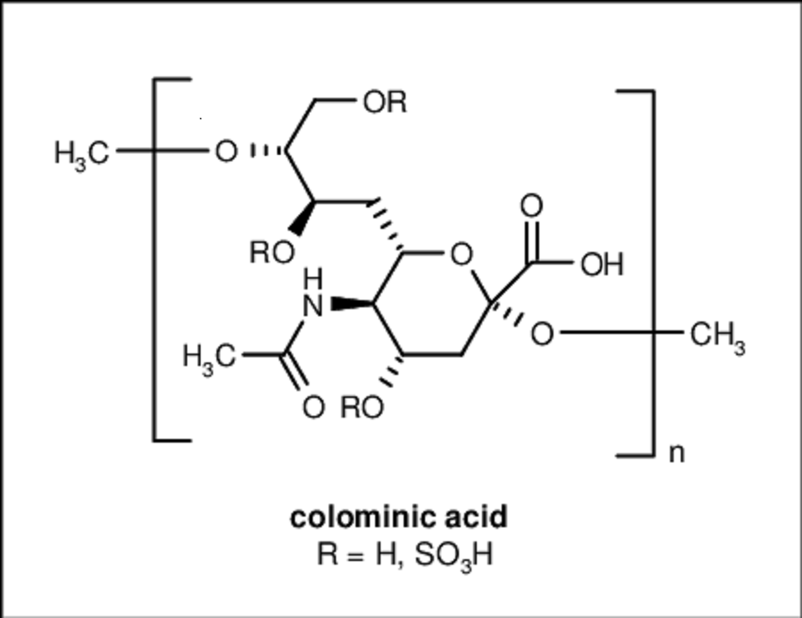 <span class="entry-title-primary">Colominic acid sodium salt Market Size, Analysis, Benefits, Demands and Forecast Report by 2024</span> <span class="entry-subtitle">Colominic acid sodium salt Market Size, Analytical Overview, Growth Factors, Demand, Trends.</span><span class="rating-result after_title mr-filter rating-result-27189">			<span class="no-rating-results-text">No ratings yet.</span>		</span>