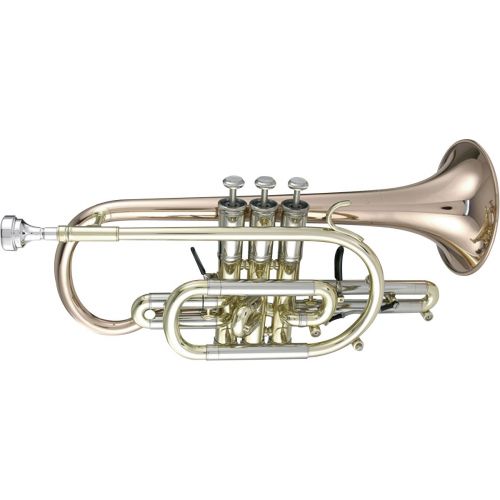 <span class="entry-title-primary">Cornet Market 2019 | Global Market Size, Share, Supply and Forecast 2025</span> <span class="entry-subtitle">Global Cornet Market 2019</span><span class="rating-result after_title mr-filter rating-result-30794">	<span class="mr-star-rating">			    <i class="fa fa-star mr-star-full"></i>	    	    <i class="fa fa-star mr-star-full"></i>	    	    <i class="fa fa-star mr-star-full"></i>	    	    <i class="fa fa-star mr-star-full"></i>	    	    <i class="fa fa-star mr-star-full"></i>	    </span><span class="star-result">	5/5</span>			<span class="count">				(1)			</span>			</span>