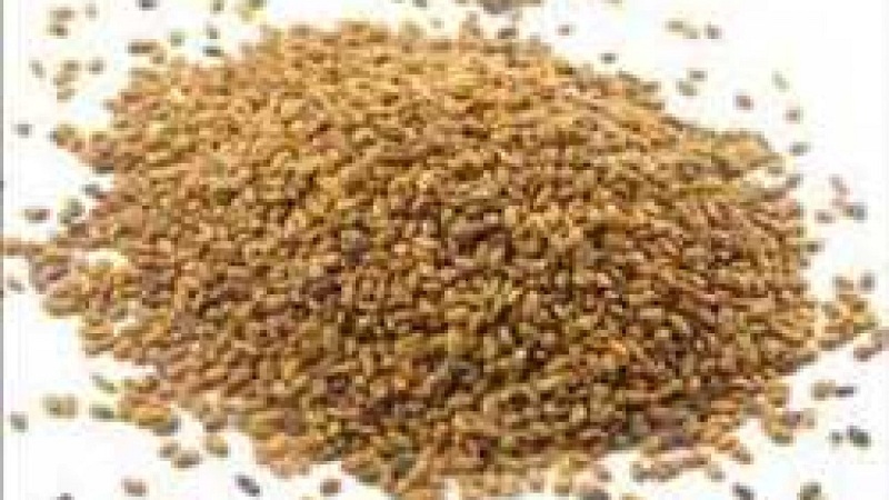 <span class="entry-title-primary">Dormant Alfalfa Seed Market Size, Analysis,Demands and Forecast-2024</span> <span class="entry-subtitle">Dormant Alfalfa Seed Market Size, Analytical Overview, Growth Factors, Demand, Trends.</span><span class="rating-result after_title mr-filter rating-result-30321">			<span class="no-rating-results-text">No ratings yet.</span>		</span>