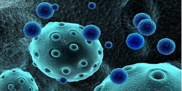 Exosomes Market Size, Growth, Trends, Share and Analysis<span class="rating-result after_title mr-filter rating-result-30595">			<span class="no-rating-results-text">No ratings yet.</span>		</span>