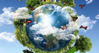 Environmental Management System Market Business Operation Data, Research Methodology