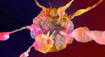 Epigenetics Market Size, Analysis, Future Scope 2026